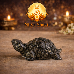 Vastu Pyrite Tortoise (Kachhua)