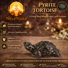 Vastu Pyrite Tortoise (Kachhua)
