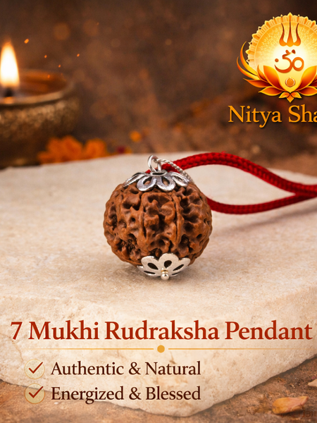 7 Mukhi Nepali Rudraksha (Lab Certified)
