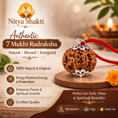 7 Mukhi Nepali Rudraksha (Lab Certified)