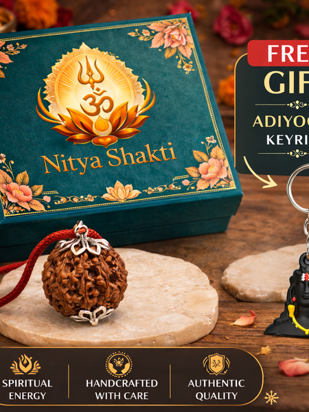 7 Mukhi Nepali Rudraksha (Lab Certified)